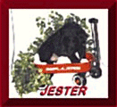 Jester