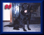 Bo
