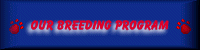 Our Breeding Program