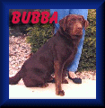 Bubba