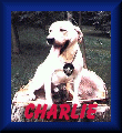 Charlie