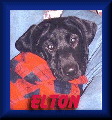 Elton