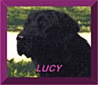 Lucy