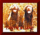 Taryn and Jake
