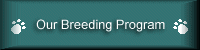 Our Breeding Program