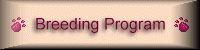 about our breeding program
