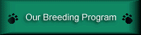 Our Breeding Program