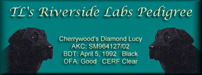 Cherrywood's Diamond Lucy