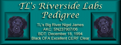 TL's Big River Nigel James