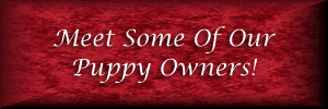 Meet Some Of Our Puppy Owners!