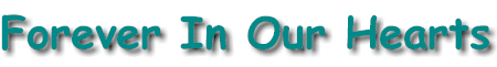 forever.gif (7591 bytes)