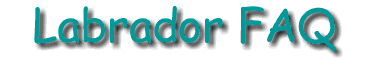 Lab FAQ Logo