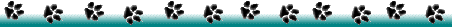 Divider line