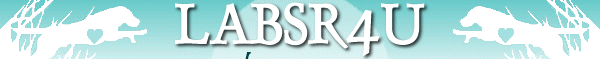 Labsr4u Homepage Header