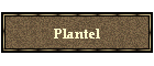 Plantel