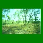 lote01-fig02.html