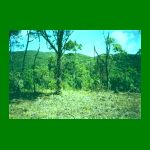 lote01-fig03.html