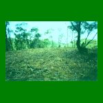 lote01-fig04.html