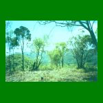 lote01-fig06.html