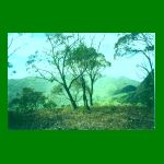 lote1-fig09.html