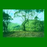 lote1-fig10.html