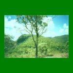 lote1-fig11.html