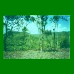 lote1-fig12.html