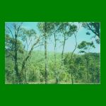 lote1-fig16.html