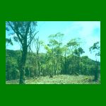 lote1-fig17.html