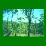 lote1-fig18.html
