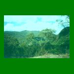 lote1-fig19.html