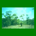 lote1-fig20.html