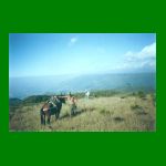 alto_da_tangara_3d.html