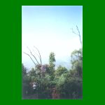 caminhocachoeira.html