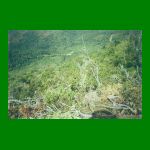 valecapmor-4.html