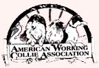 American Working Collie Association