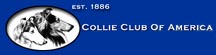Collie Club Of America