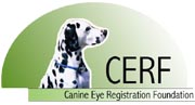 CERF
