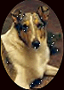 Dixie