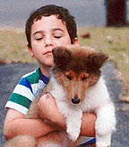 John loving puppy