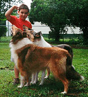 More of John and collies