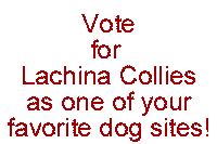 Vote for Lachina Collies as one of your favorite dog sites