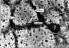 1.La Copita Aerial photo.jpg (171440 bytes)