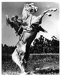 Roy Rogers on Trigger gif