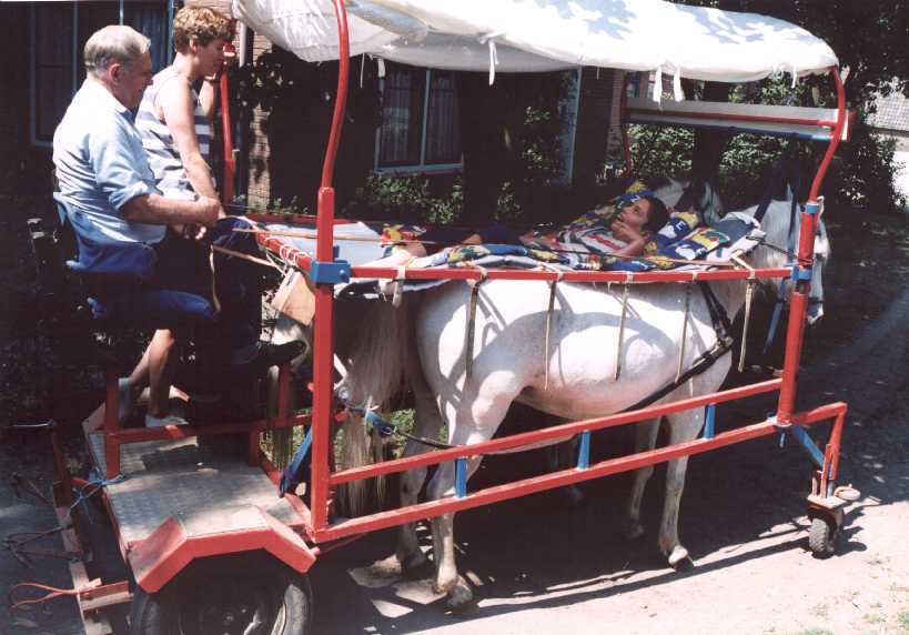 Genieten in een huifbedkar