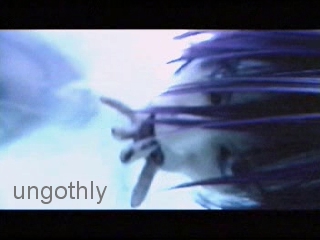 sc_deg_d4