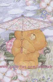....SHELTERED FROM THE STORM....