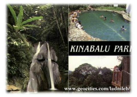 . . . Kinabalu Park . . .