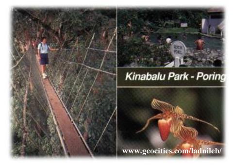 . . . Kinabalu Park . . .