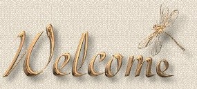 Welcome header